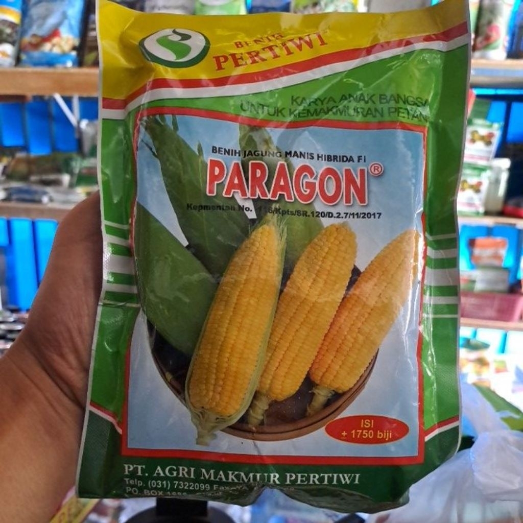 Benih Jagung Manis Paragon 250gr/Paragon
