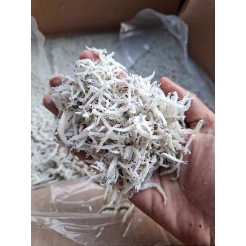 

Ikan asin teri medan/teri nasi/ikan asin harga termurah