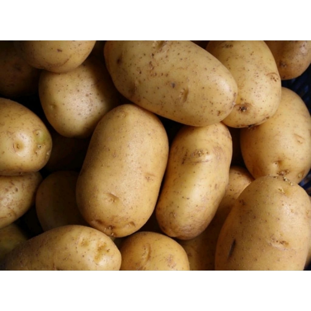 

terlaris kentang (ABC) fresh 1kg