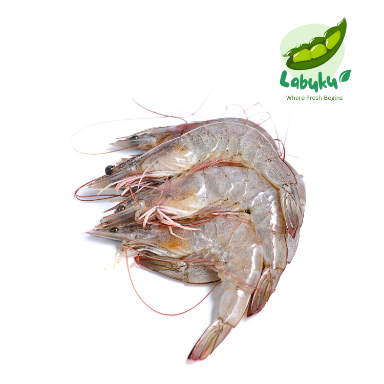 

Labuku – Udang Segar Premium Lokal