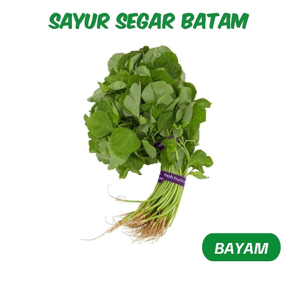 

Bayam Segar - Sayur Segar Batam