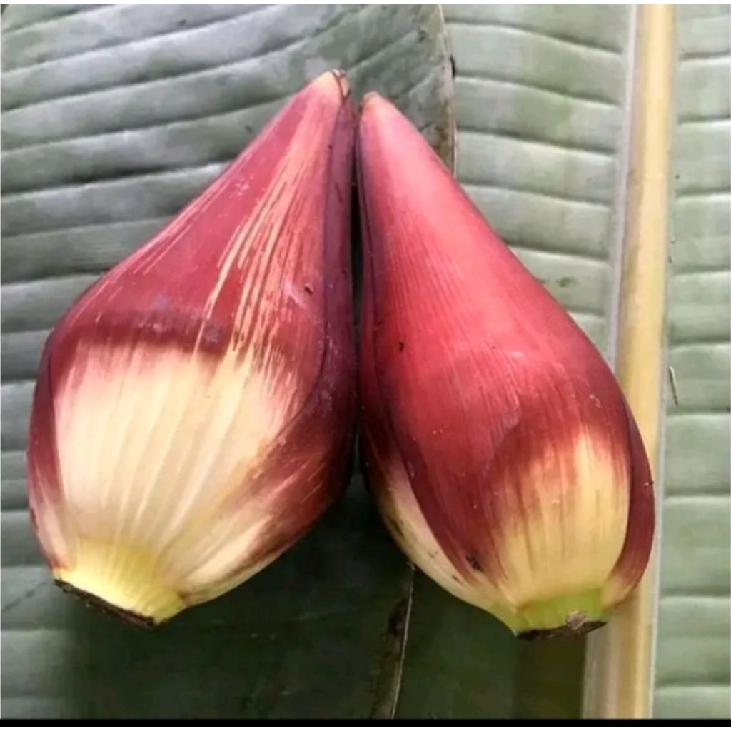 

Promo jantung pisang sayur per pcs