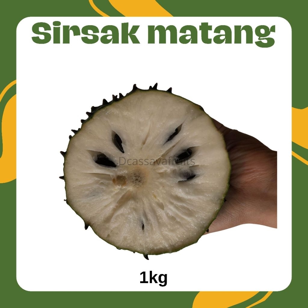 

Buah Sirsak 1kg