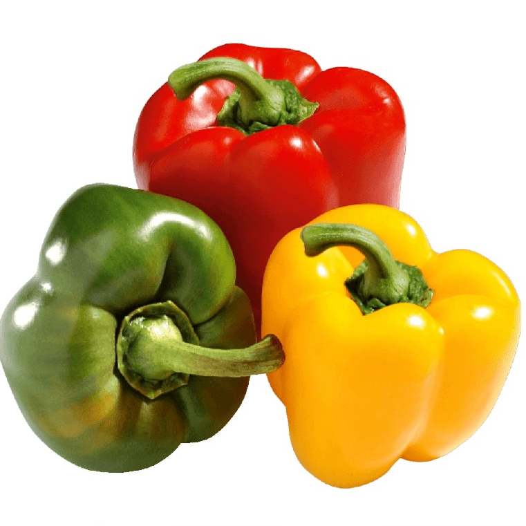 

Paprika Hijau / Kuning / Merah Organik 500g / Organic Bell Pepper 500g