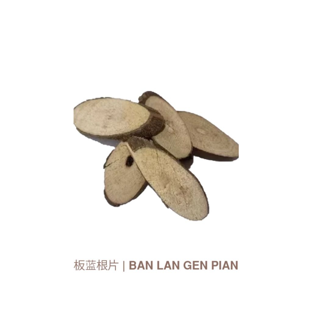 

Ban Lan Gen Pian/Isatis Indigotica Fort