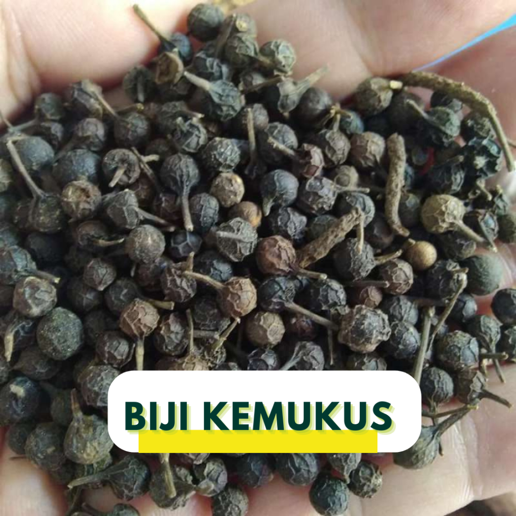 

Biji Kemukus 100 Gr organik herbal