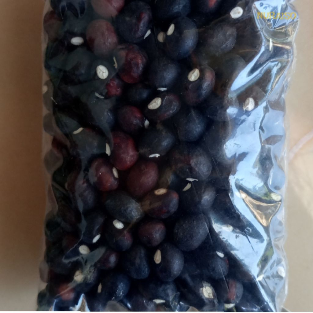 

Biji Kacang Bogor Tua 100 gram isi 250-300 Butir