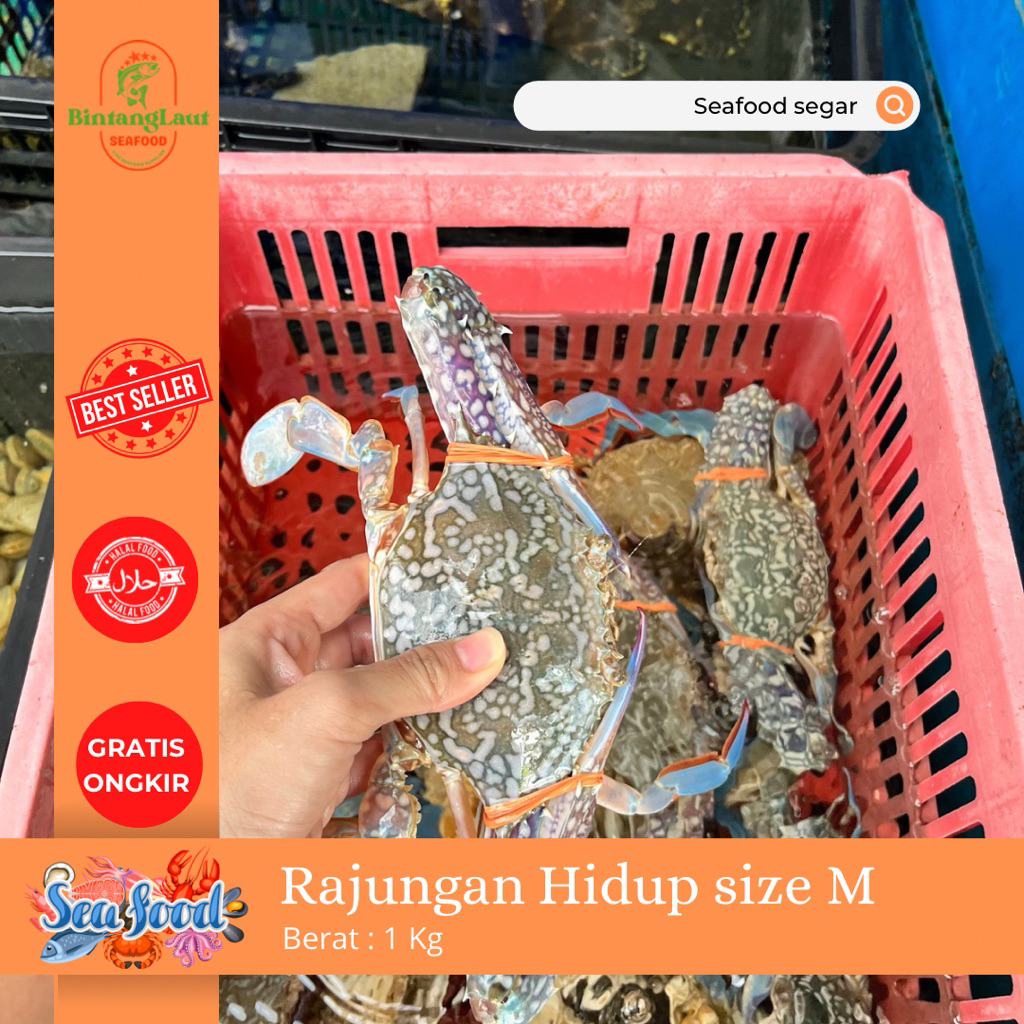 

RAJUNGAN HIDUP size M (1kg isi 6ekor)