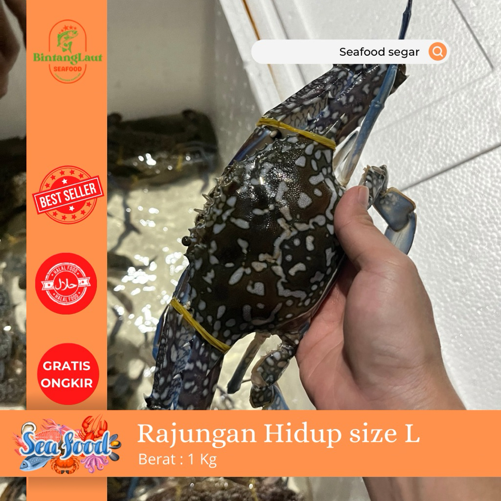 

RAJUNGAN HIDUP SIZE L (1kg isi 4ekor)