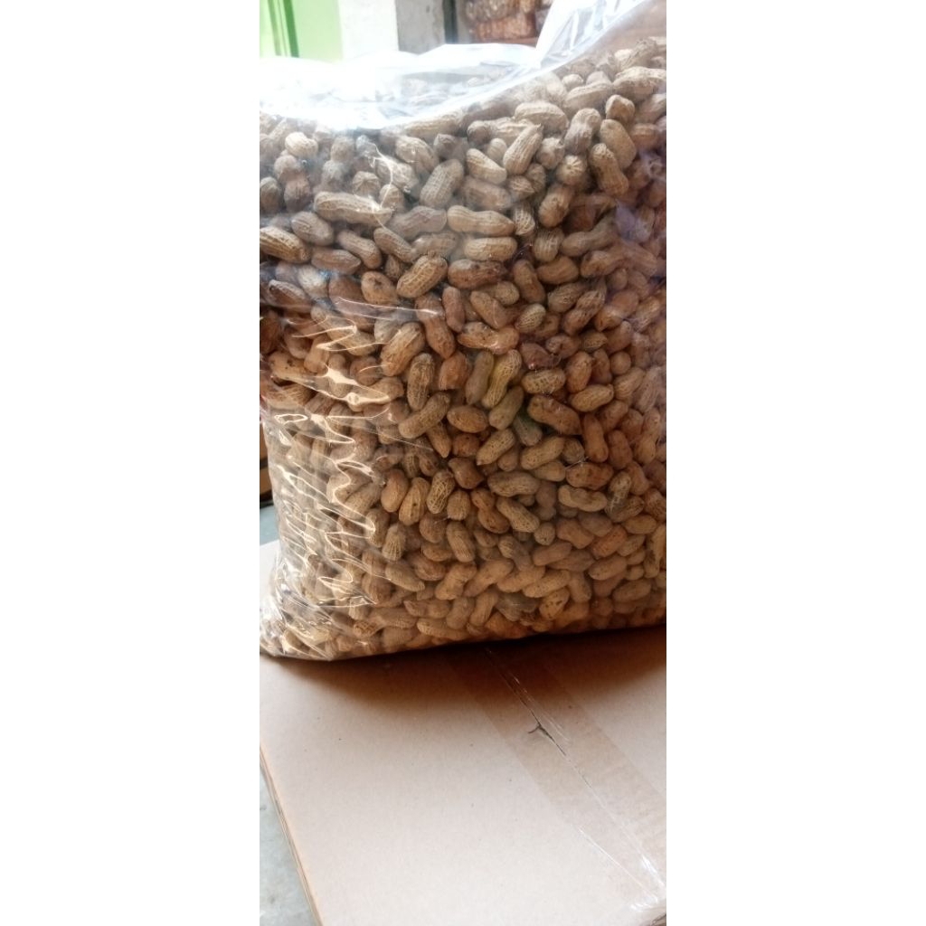 

kacang tanah goreng khas Blora1kg