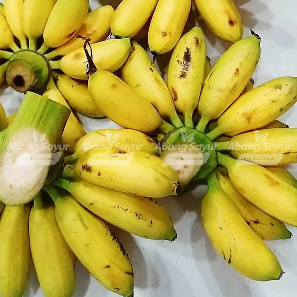 

Pisang Muli 1 Sisir – Kirim Instant Bandung - Mini, Wangi, Manis – Cocok Untuk Bayi & Camilan Diet