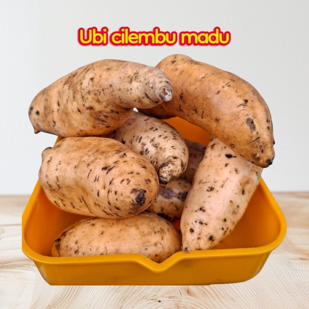 

Ubiko Ubi Cilembu Madu 1 kg Isi 5-7