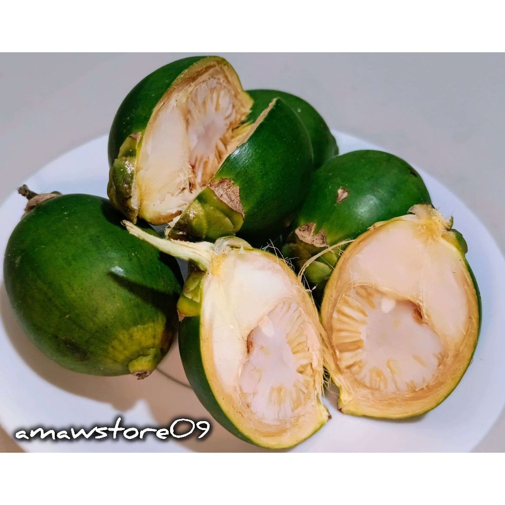 

BUAH PINANG MUDA / JAMBE FRESH 1 KG