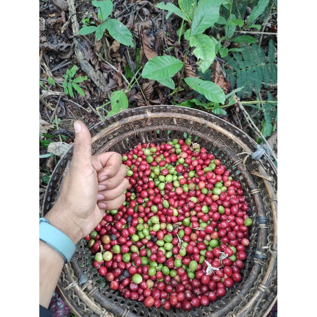 

kopi Robusta bubuk 1 kg asli Lampung