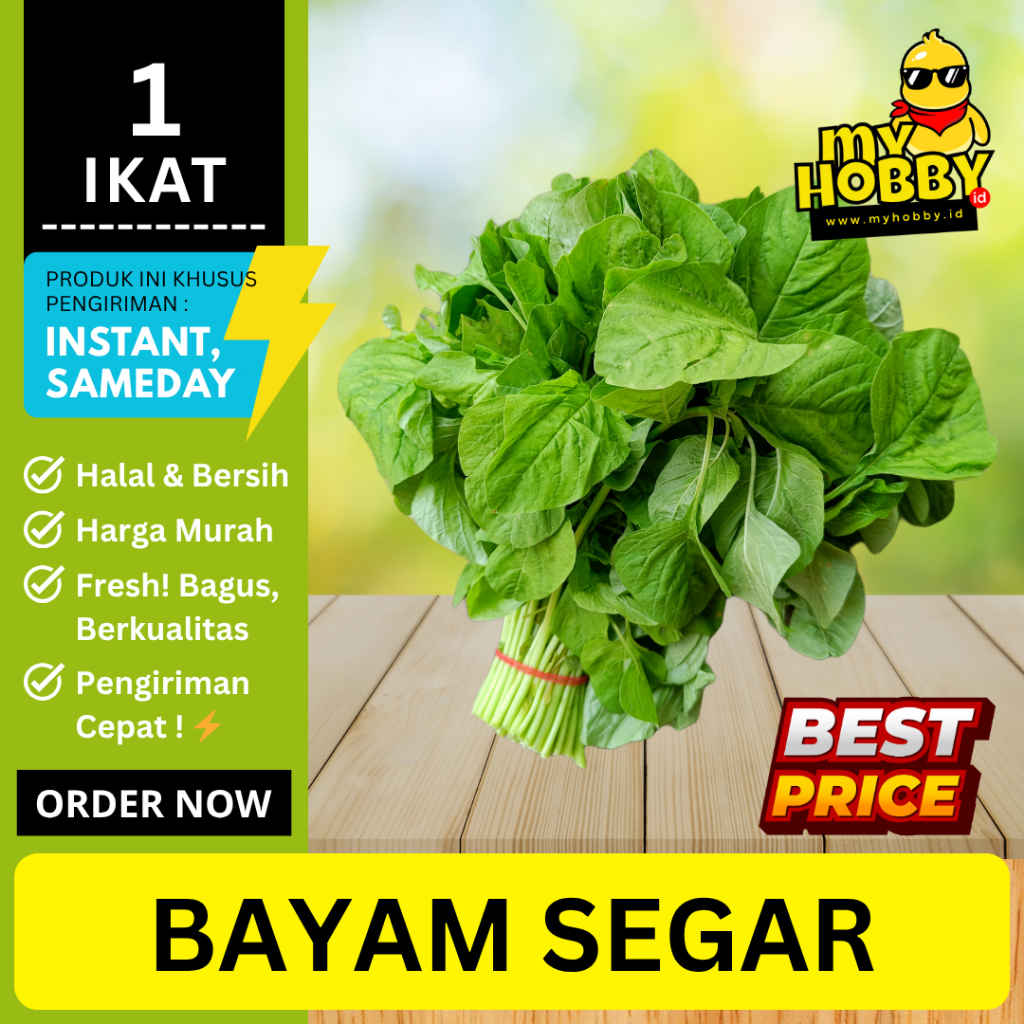 

1 Ikat Bayam Hijau Segar Pilihan! Sayuran Hijau Bagus, Murah, Bersih, Sehat, dan Enak. MyHobby ID