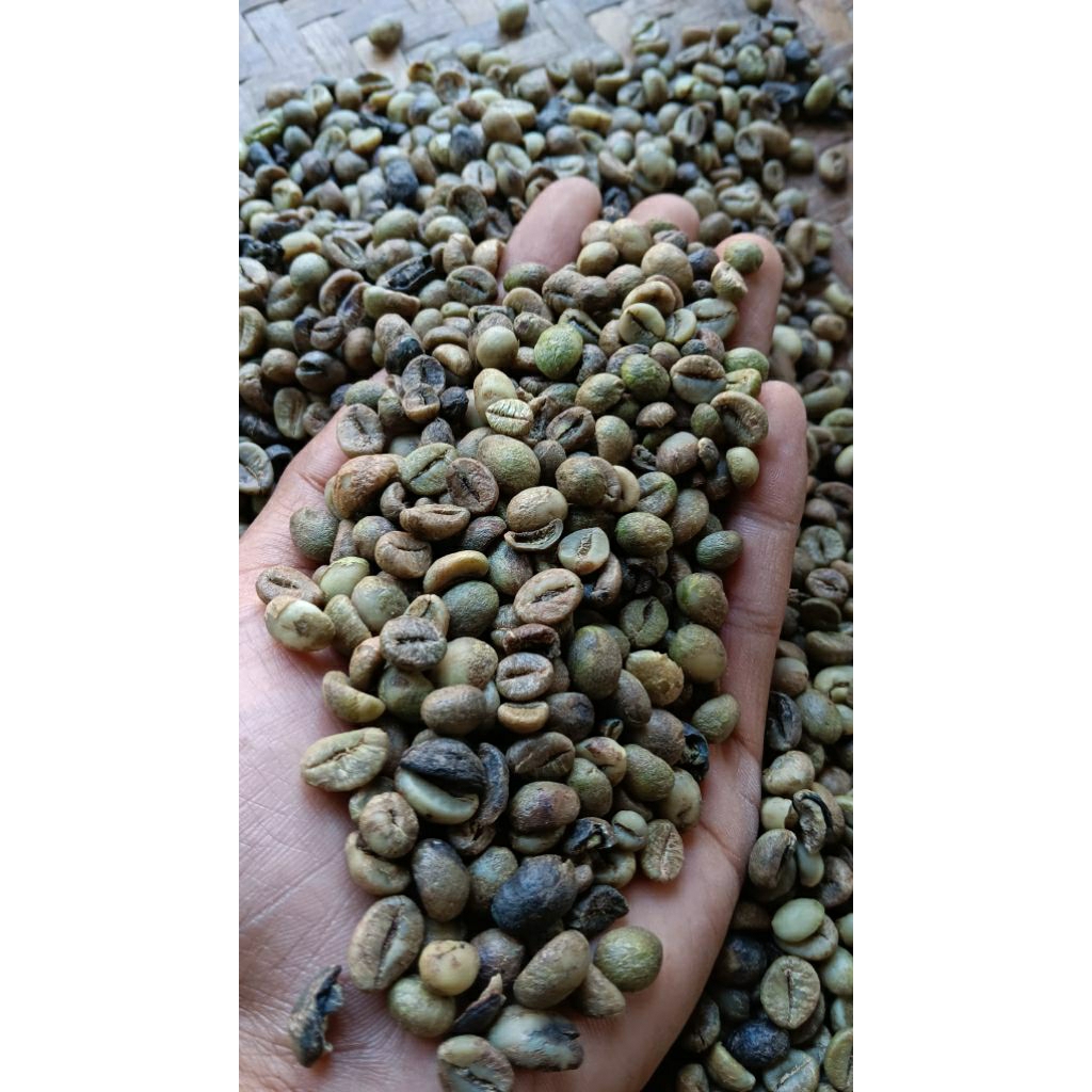 

BIJI KOPI ROBUSTA ASALAN TANPA SORTIR 1kg