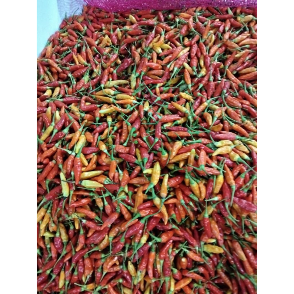 

Cabe Sret Merah super