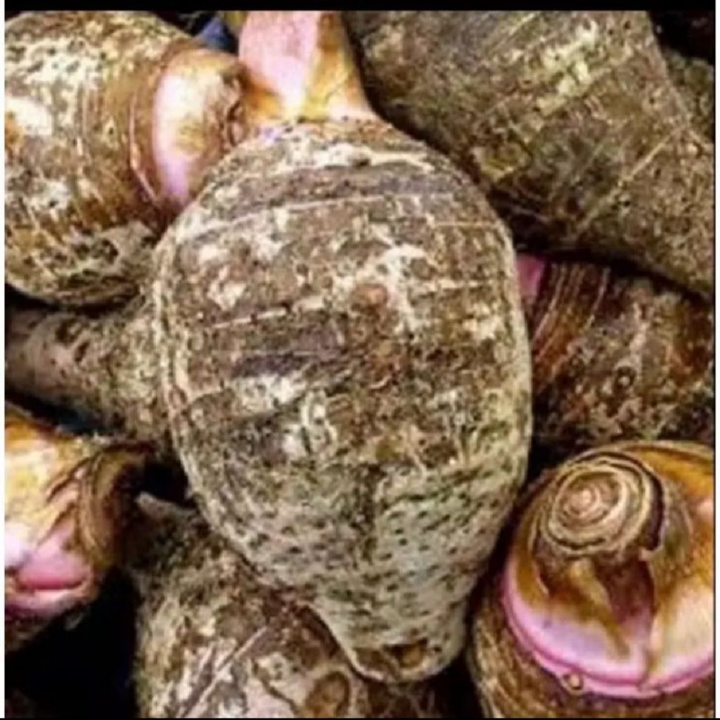 

cos umbi talas ungu/talas kumpul pilihan 1kg