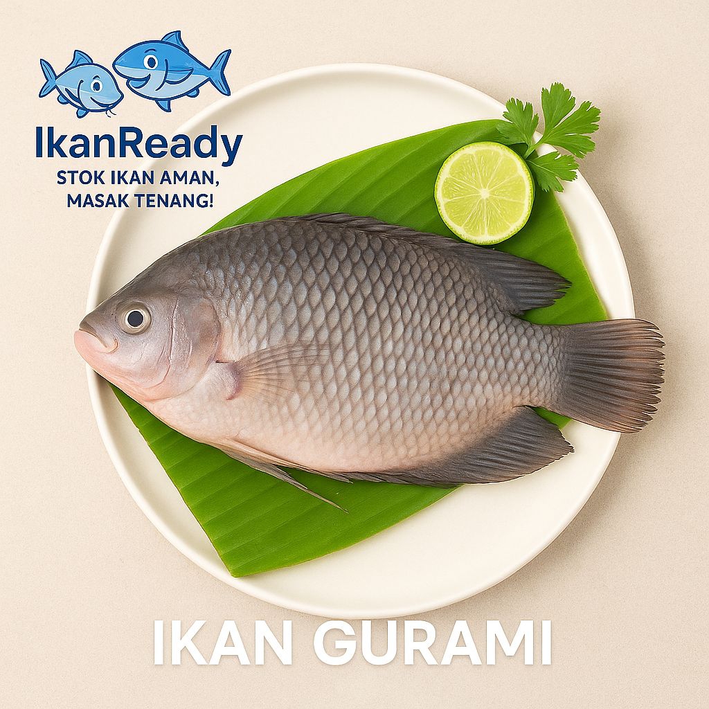 

Ikan Gurami Segar 1kg - Siap Masak | IkanReady Gurami Segar Utuh 1Kg - Langsung dari Petani | Toko IkanReady