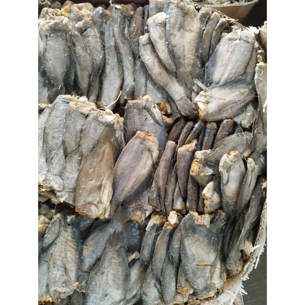 

Ikan Asin Sepat besar | 250 gr