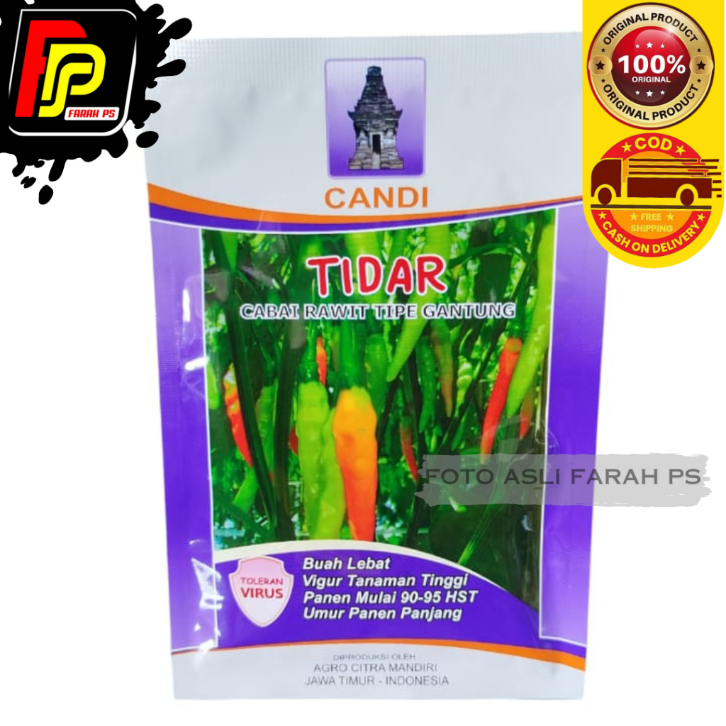 Benih Cabe Rawit Tidar Kemasan 10gr Original Pabrik Cap Candi Buah Lebat / Tidar Benih Cabai Rawit