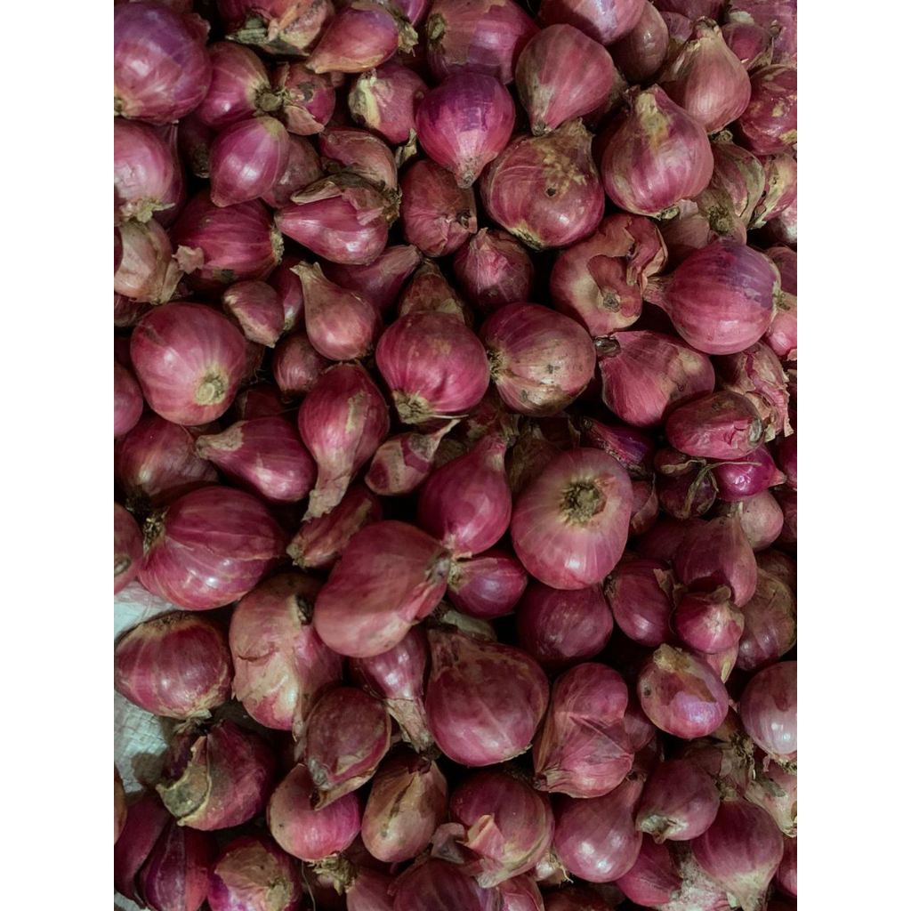 

Bawang Merah Probolinggo