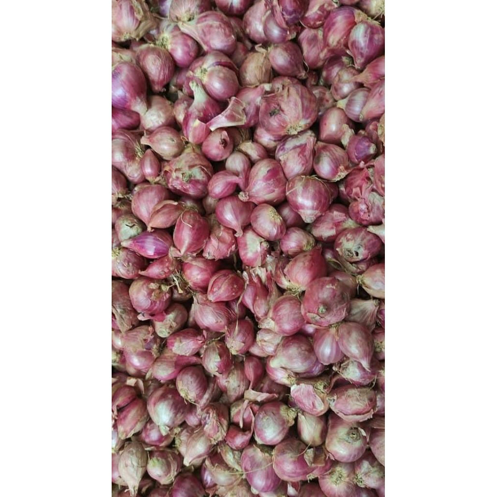 

sayur bawang merah 500g by pasar Tasik online
