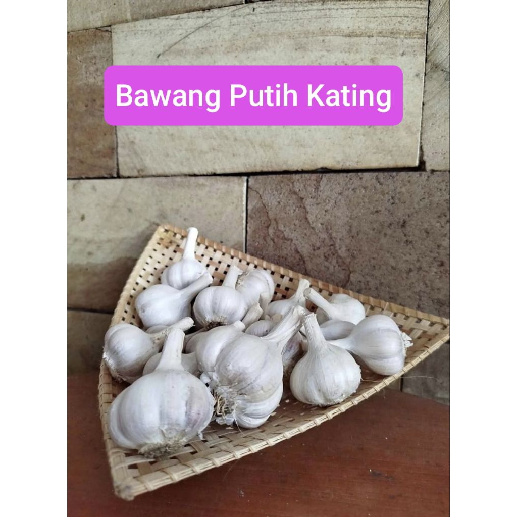 

BAWANG PUTIH KATING