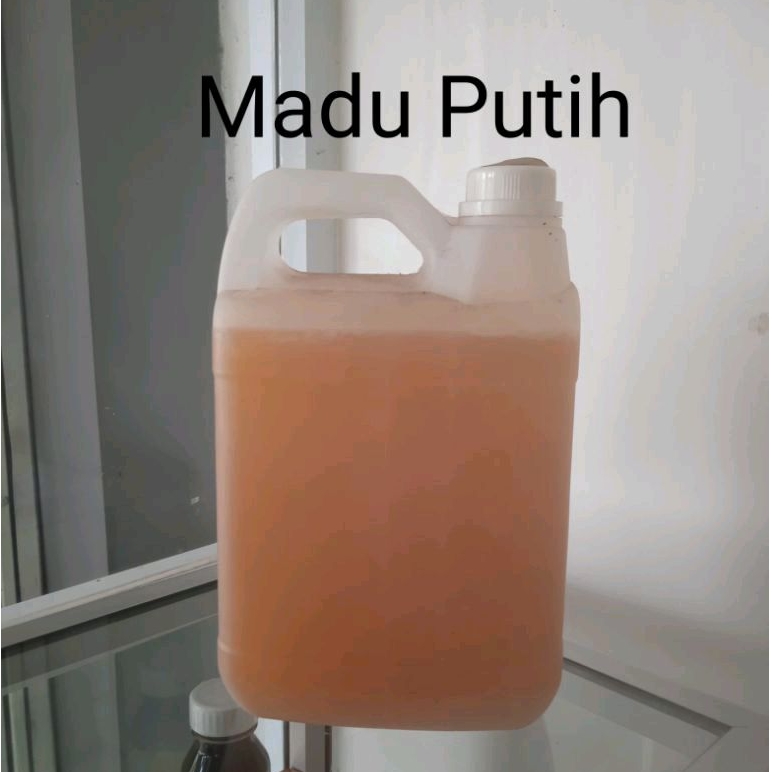 

Madu Putih Dompu Curah 5Kg