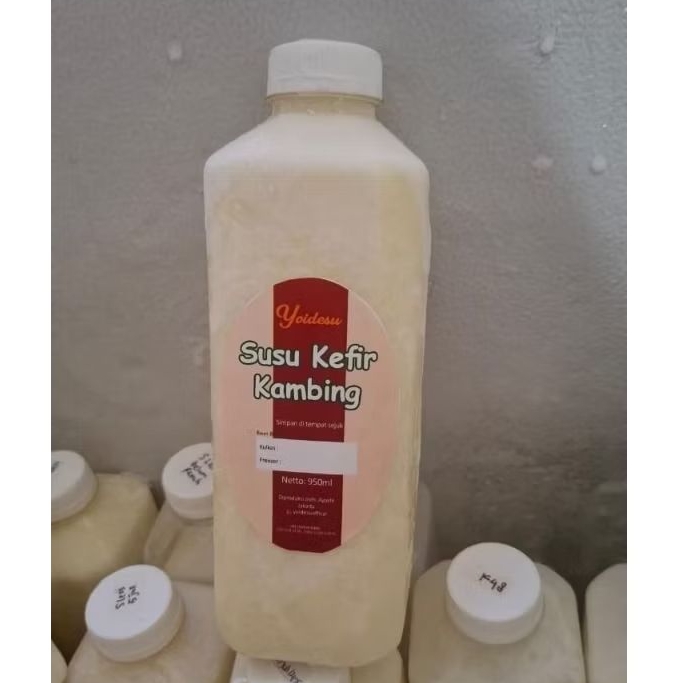 

Susu Kambing Fermentasi 48Jam Untuk Magh Asam Lambung Diabetes