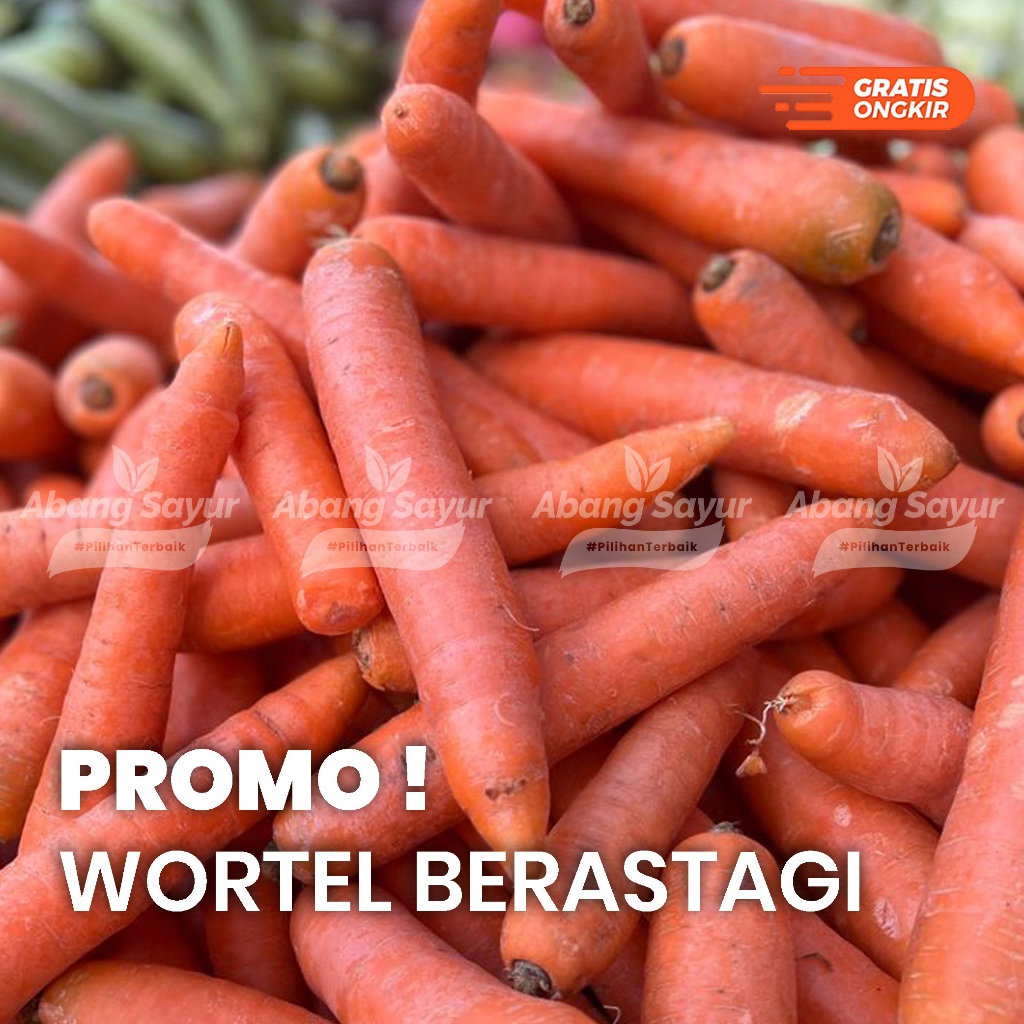 

Wortel Brastagi 1kg – Kirim Instant Bandung (Fresh Harian) - Sayur Manis alami, cocok sop & tumis