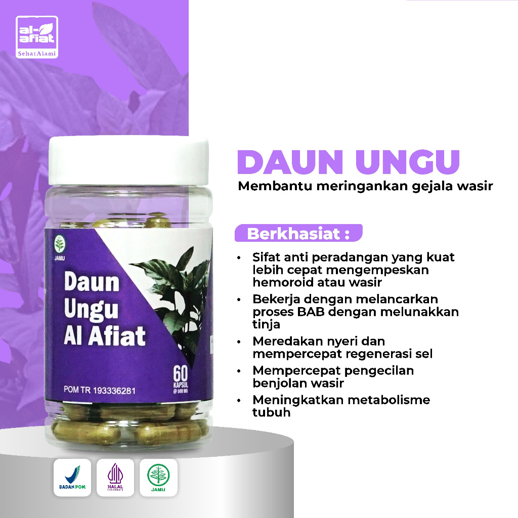 Daun Ungu Al Afiat 60kapsul | Herbal untuk Wasir | Herbal untuk Ambeien