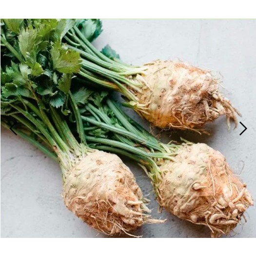 Bibitmu -  1 Pack Isi 150 Butir Benih Seledri Afrika Aneka Benih Bibit Biji Unggulan Sayur dan Buah 