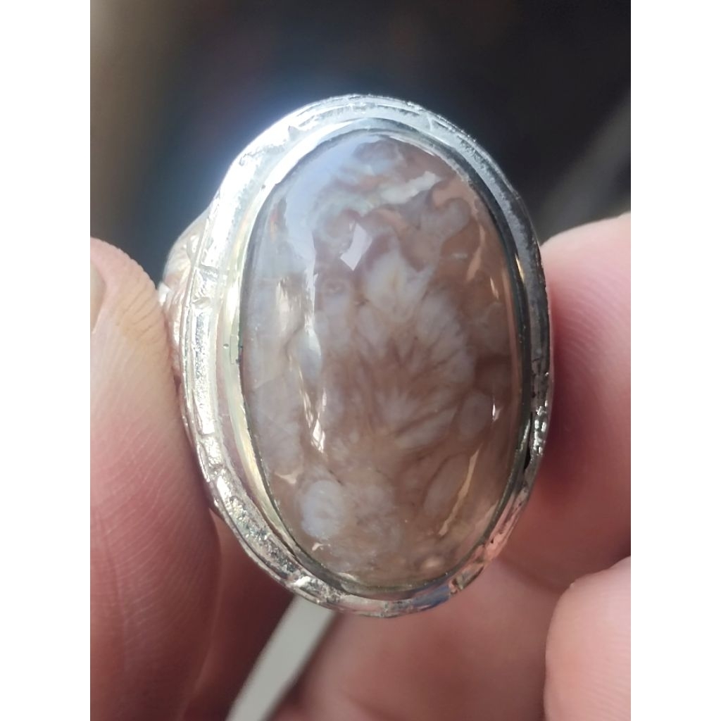 bacan kura bening halmahera