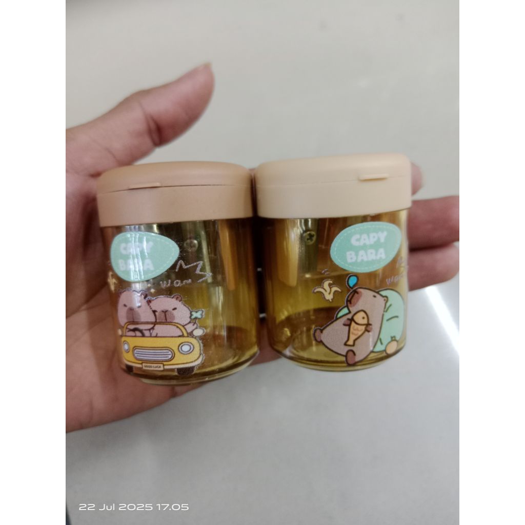 

Rautan capybara mr. diy