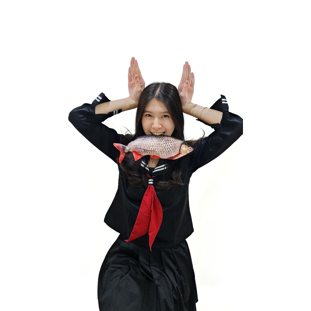 

Tempat Pensil Ikan Tombro Viral Unik Untuk ke Kantor atau Sekolah Kado Lucu Penggemar Ikan