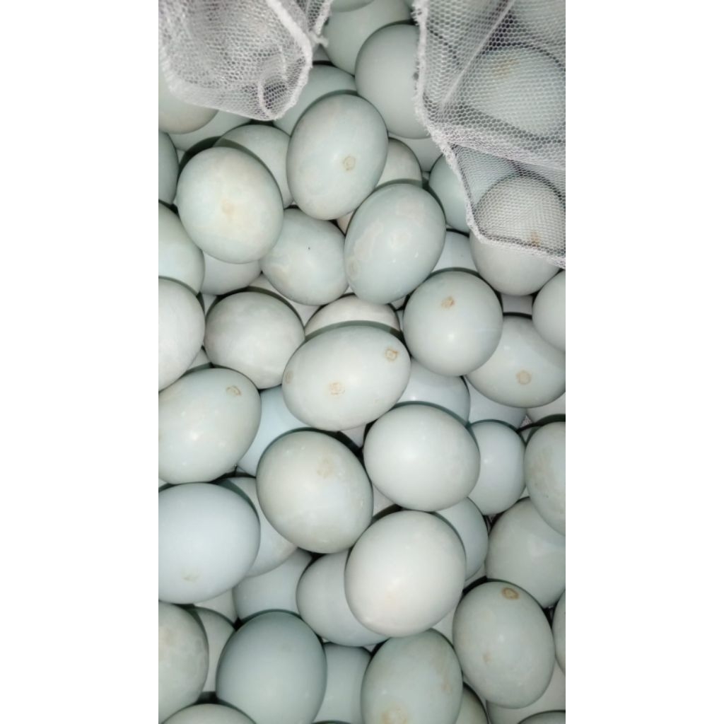 

telor asin super gurih khas cilacap