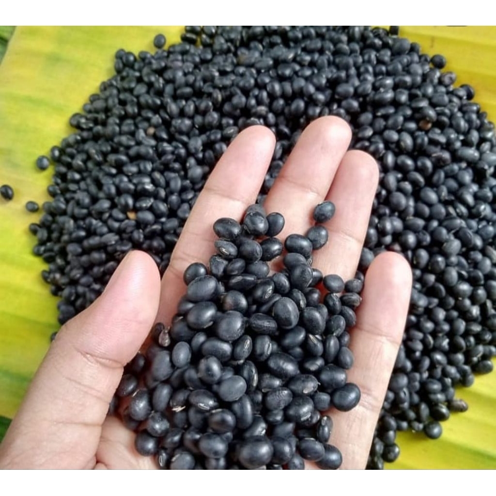 

Kedelai hitam 1kg super