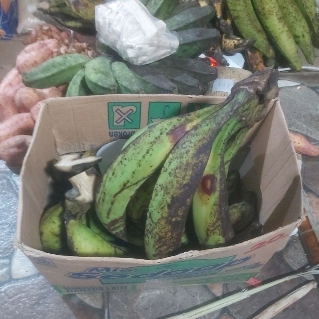 

LELANG 5kg Pisang TANDUK MADU dan TANDUK KAPAS