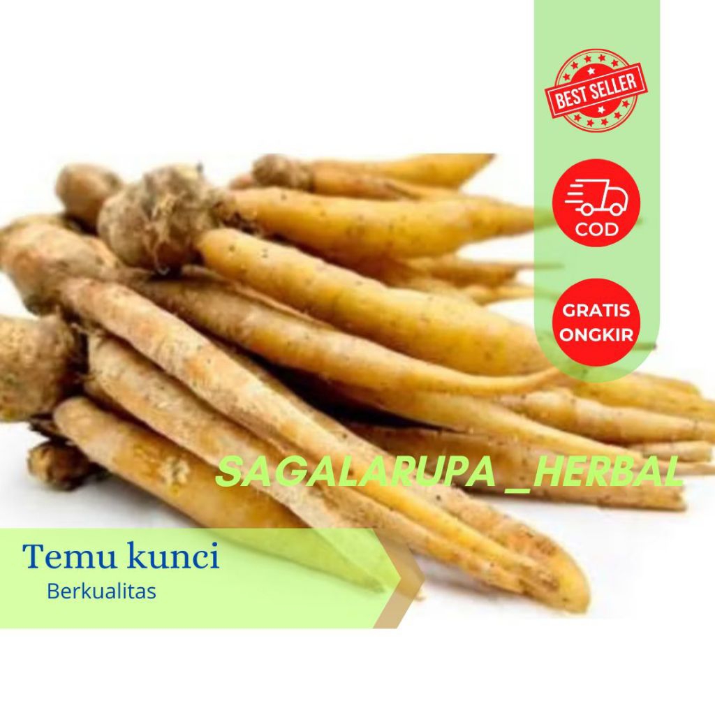 

TEMU KUNCI 250 GRAM SEGAR