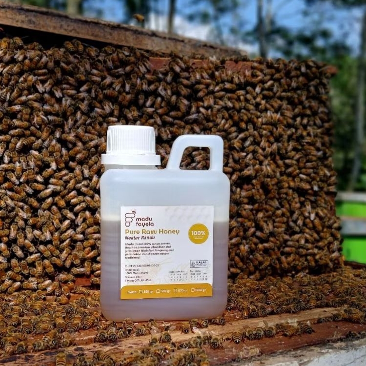 

Madu Fayola | Madu Randu 500 gram