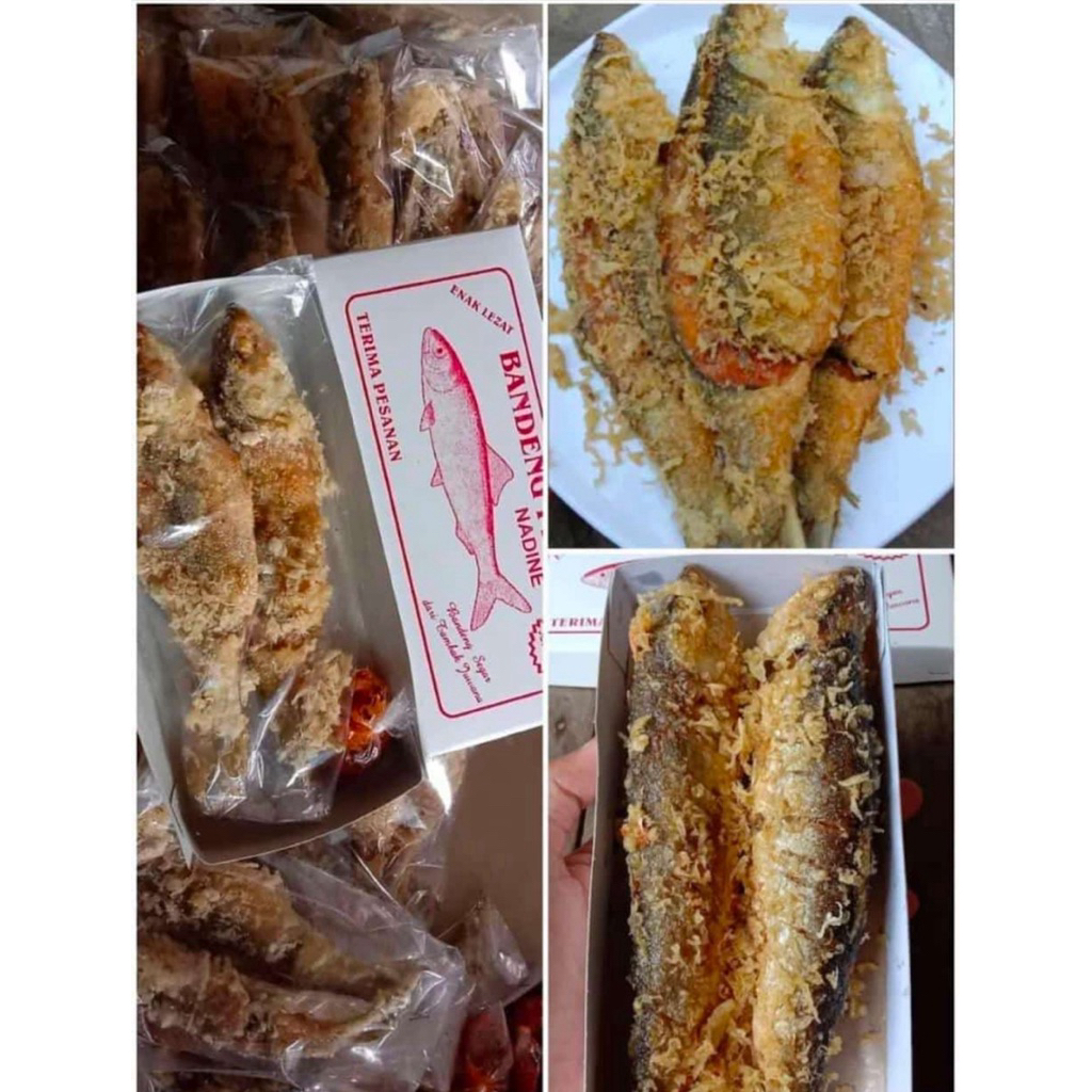 

IKAN BANDENG JUWANA