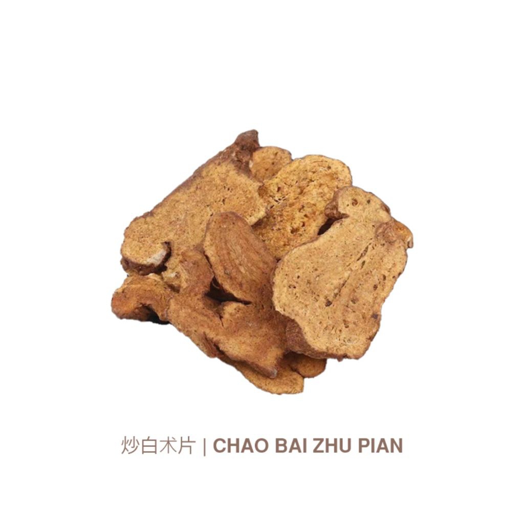 

Chao Bai Zhu Pian/ Artactylodes Marcocephala
