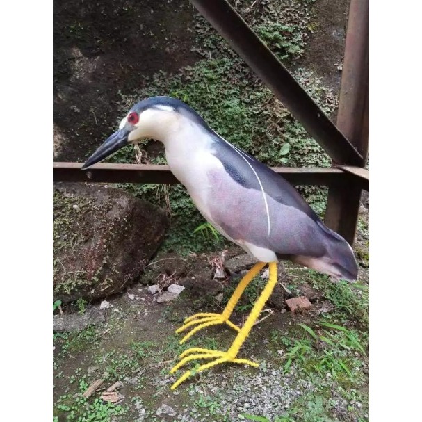 Patung jontrot koak abu malam