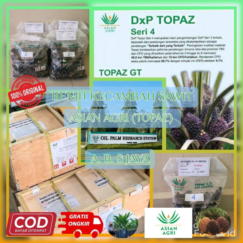 BENIH KECAMBAH UNGGUL SAWIT TOPAZ 3 SERI 4 (ISI 150/250 BUTIR) BERSERTIFIKAT