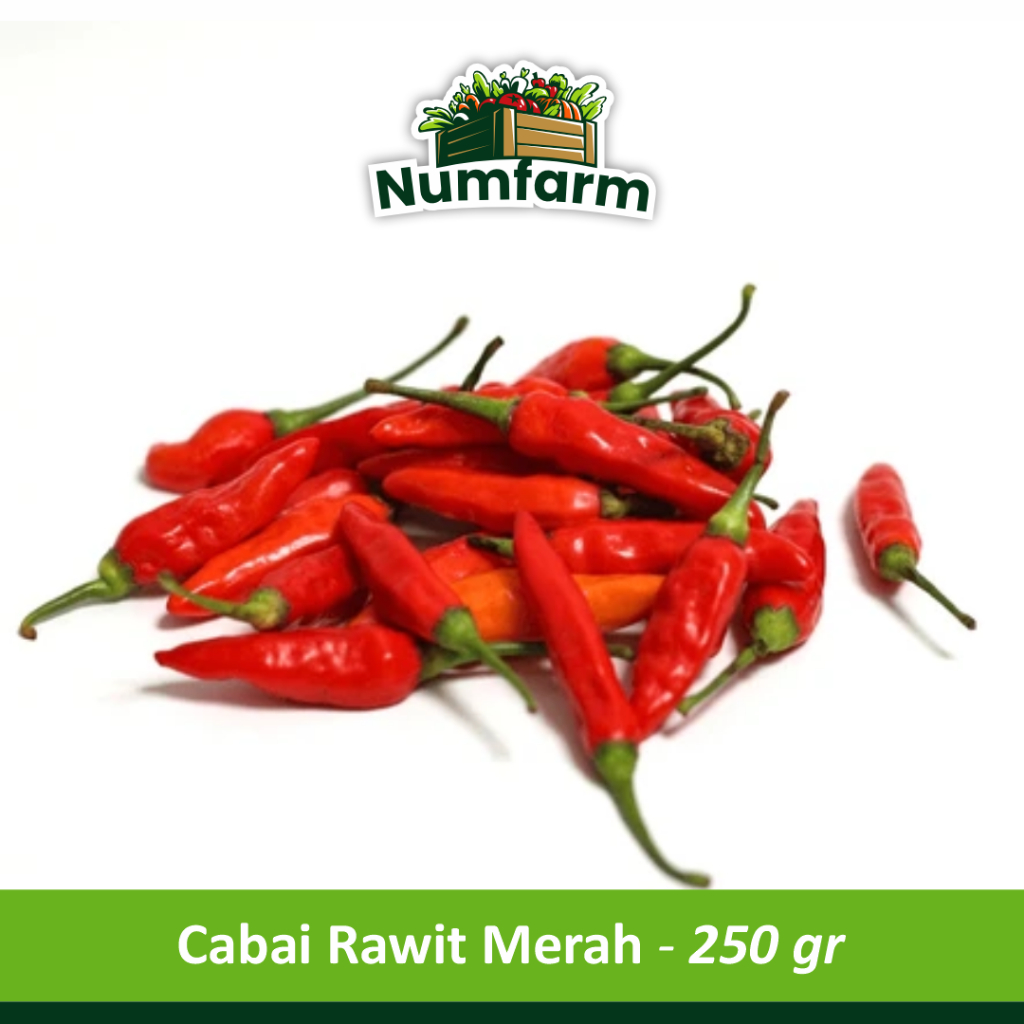 

Numfarm | Cabai / Cabe Rawit Merah (per 250 gr)