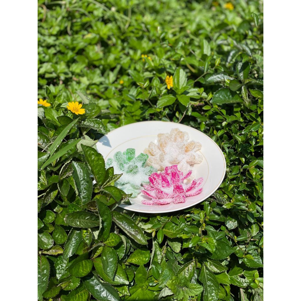 

Manisan Kembang Pala