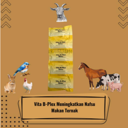 Vita B Plex 1 Bolus Medion Vitamin B Complex Bolus Untuk Ternak Sapi Kambing Domba