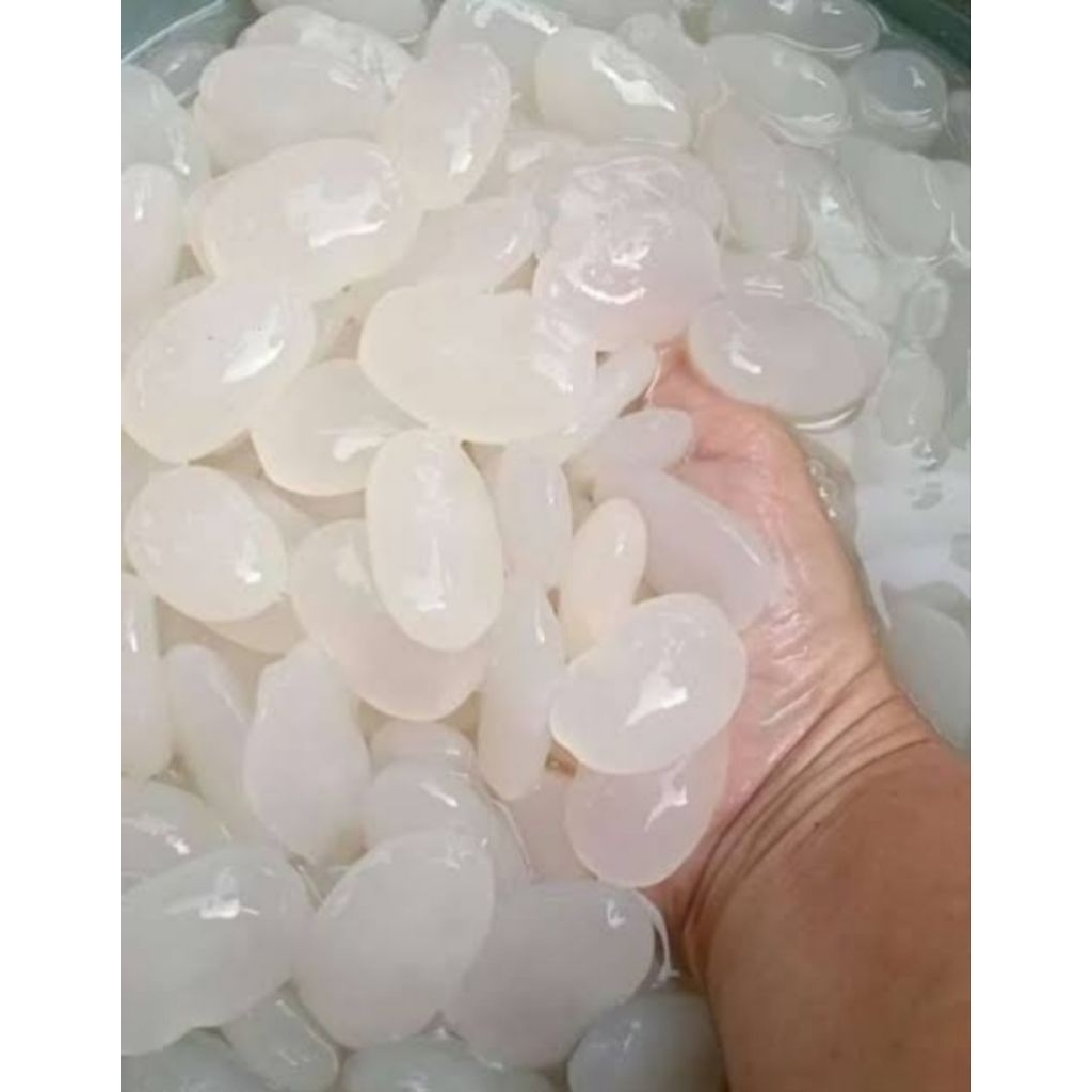 

Kolang Kaling super fresh Tanpa Pengawet_Bisa COD