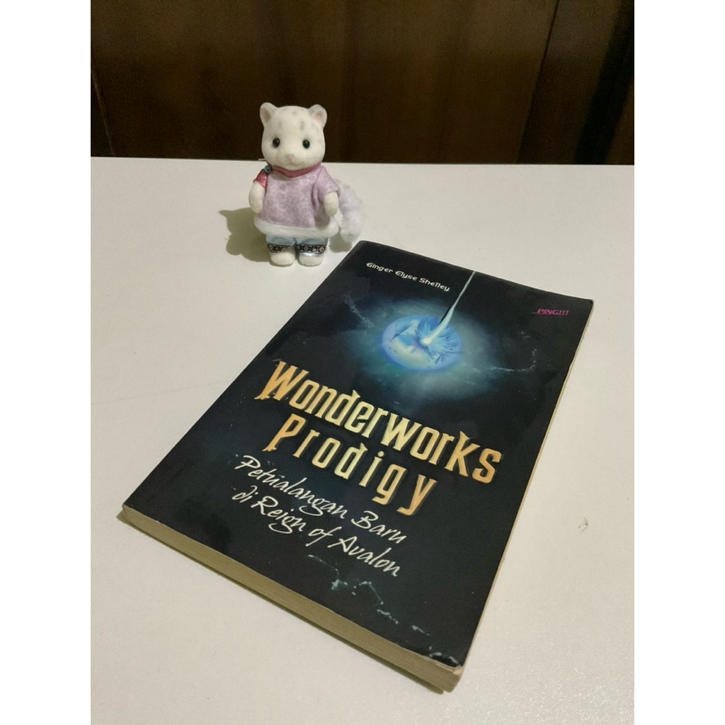 Preloved Novel Wonderworks Prodigy